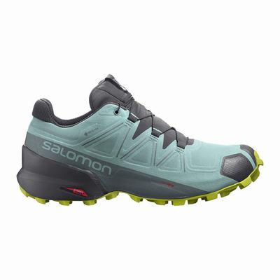 Női Salomon SPEEDCROSS 5 GORE-TEX Terepfutó Cipő SA0254379 Türkiz/Sötét Szürke